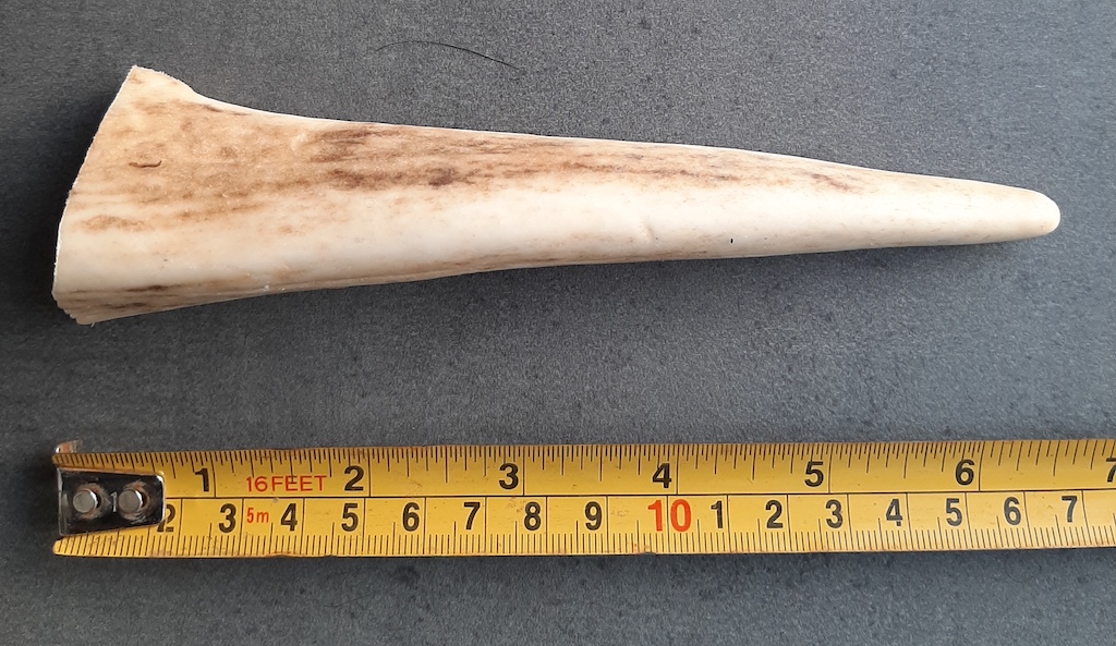 Large antler