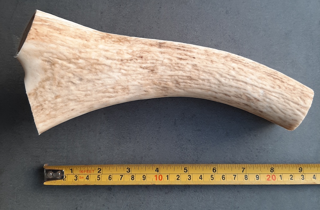 Large antler